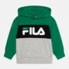 Fila Bagana Blocked Hoody Unisex - Sudadera - Light Grey Melange/Verdant Green/Black